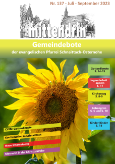 Titelmotiv: eine gelbe Sonnenblume